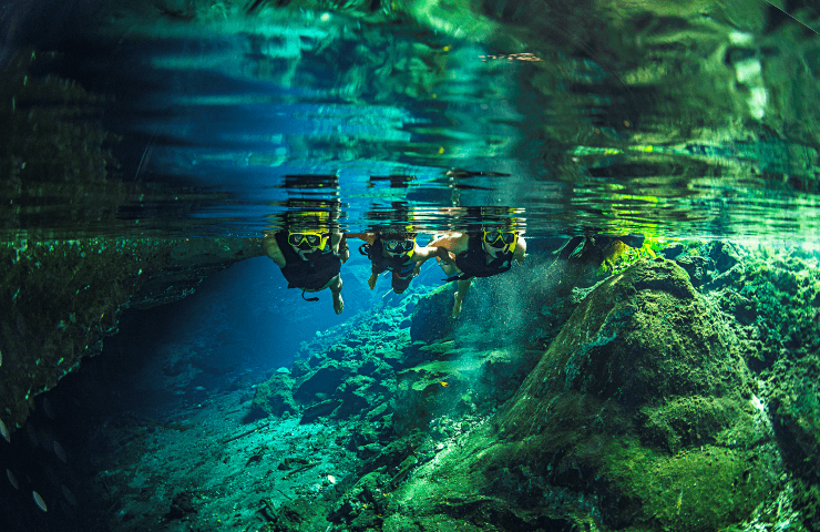 Tulum Jungla Maya